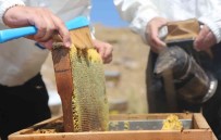 Yurt Disinda Kilosu 500 Dolar  Açiklamasi Egriçayir Yaylasi Balinin Anti Mikrobiyal Oldugu Tescillendi