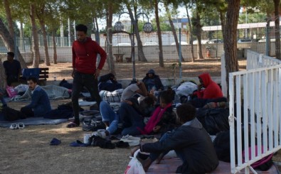 Aydın'da 53 düzensiz göçmen yakalandı