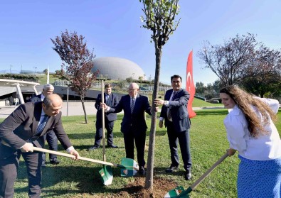 Bursa'nin Erguvanlari Almanya'da Kök Salacak