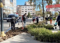 Sinop Meydaninda Peyzaj Çalismalari Sürüyor
