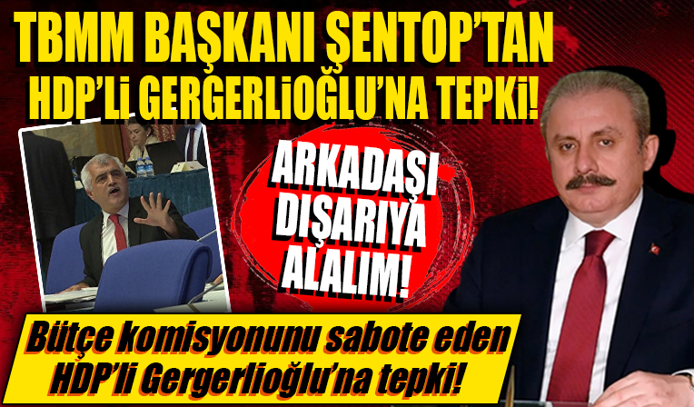 TBMM Başkanı Şentop'tan bütçe komisyonunu sabote eden HDP'li Gergerlioğlu'na tepki! 'Arkadaşı dışarıya çıkaralım'