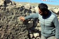 Dört bin 500 yıllık parmak izi: Kayseri'de heyecanlandıran keşif