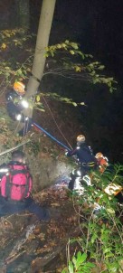 Kestane Toplamaya Gitti, Uçuruma Yuvarlanarak Yaralandi