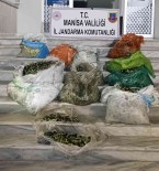 Zeytin Hirsizligina 4 Gözalti