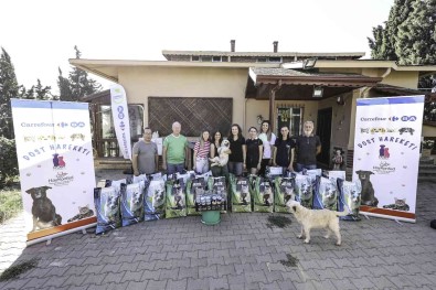 Dost Hareketi Projesinde Mama Destegi 45 Tona Ulasti