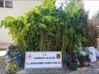 Jandarmadan Uyusturucu Ve Kaçakçilik Operasyonlari