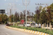 Van Büyüksehir Belediyesinden Agaç Dikimi