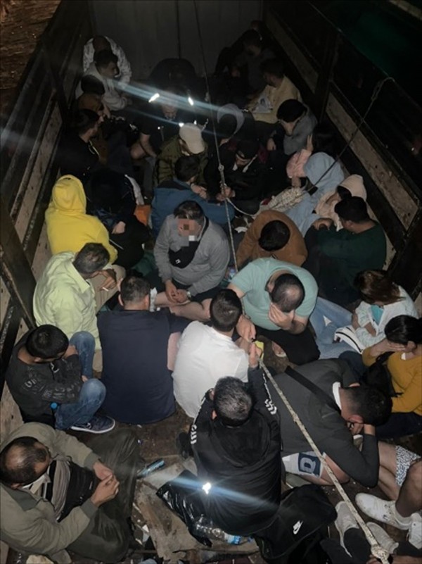 Aydın’da, 43 kaçak göçmen yakalandı