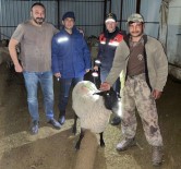 Jandarma Kayip Sürüyü Dron Ile Buldu