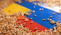 Zelenskiy: Rusya gıda krizini kasıtlı olarak ağırlaştırmaya başladı