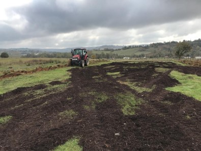 Atil Arazilere Bugday Ekildi