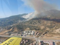 Aydin'da Makilik Ve Zirai Alanda Yangin