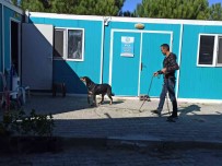 Bir Sokak Hayvani Daha Yeni Yuvasina Kavustu