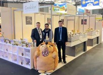 Dünyada Türk Usulü Kestane Sekerine Ilgi Artiyor