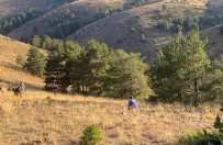 Kayip Olarak Aranan Sahsin Cesedi Ormanlik Alanda Bulundu