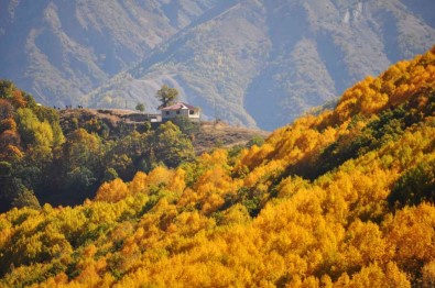 Tunceli'de Seyrine Doyulmaz Sonbahar Güzelligi