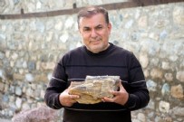 Türkiye'de ilk kez rastlandı: 41,5 milyon yıllık ağaç fosilleri bulundu