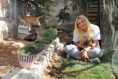 Gaziantepli Hayvanseverden Örnek Davranis