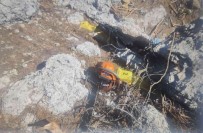 Kestigi Agacin Altinda Kalarak Hayatini Kaybetti