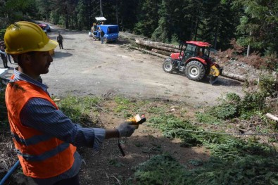 Orman Köylüsüne 890 Bin Lira Hibe