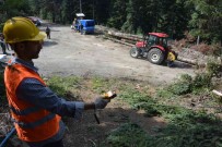 Orman Köylüsüne 890 Bin Lira Hibe