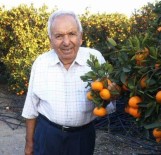 Siddet Uygulayan Kocasini Bastonla Öldürdü