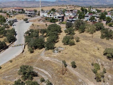 6-7 Bin Yillik Oldugu Degerlendirilen Mezarliktaki Asirlik Mese Agaçlari Koruma Altina Alinmayi Bekliyor