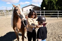 At Binme Heyecani Tepebasi'nda