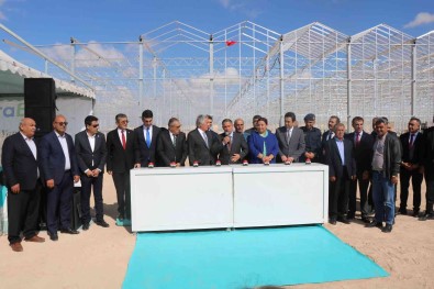 Bozkir Topraklarina 50 Milyon Dolarlik 'Domates' Serasi