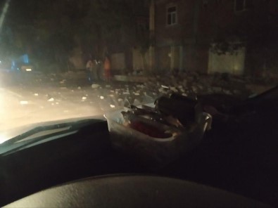 Iran'da 5.4 Büyüklügünde Deprem Açiklamasi 276 Yarali