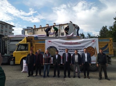 Kastamonu'da Çiftçilere 105 Ton Bugday Ve 61 Ton Arpa Tohumu Dagitildi