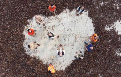 Yanan Ormanlar 450 Milyon Adet Tohumla Tekrar Yeserecek