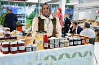 Bursa'da Bilecik Rüzgâri Esti