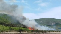 Çanakkale'de orman yangını