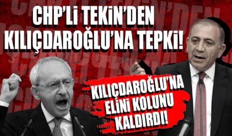 Gürsel Tekin'e 'saksı' muamelesi: Kılıçdaroğlu'na tepki gösterdi