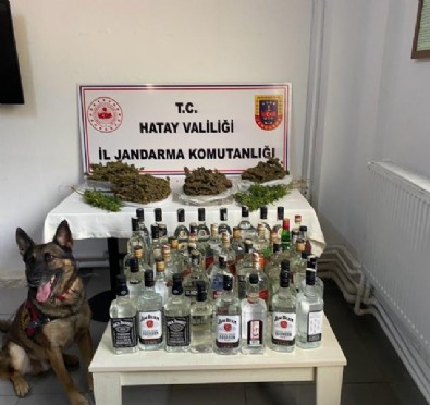 Hatay'da evinde esrar ve sahte içki bulunan zanlı gözaltına alındı