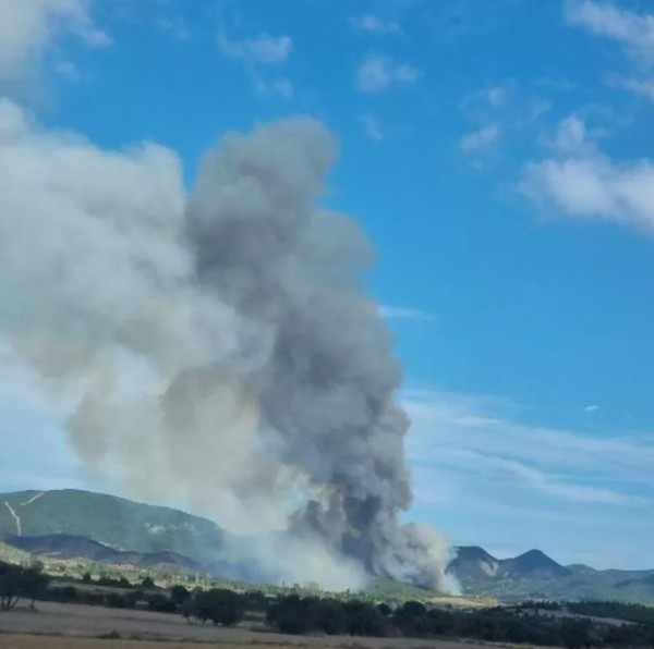 Çanakkale'de orman yangını