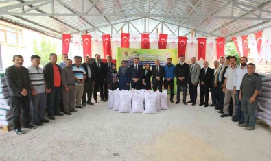 Amasya Çiftçisine 169 Ton Yem Bitkisi Tohumu Destegi