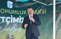 Balikesir Büyüksehir'den, Üreticiye 100 Ton Süt Otu Destegi