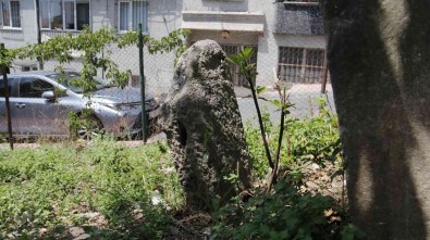 Istanbul'un Bilinmeyen Toplu Cellat Mezarligi