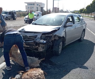 Otomobil Sürüye Çarpti