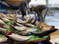 Tezgahlarda Palamut Bollugu Devam Ediyor