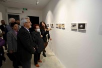 'Tekinsiz' Sergi Izlenime Açildi