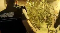 Aydin'da Narkotik Ekipleri Göz Açtirmiyor Açiklamasi 5 Gözalti