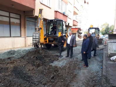 Baskan Tandogan Açiklamasi 'Persembe Ilçemizde Dogalgaz Için Çalismalara Basladik'