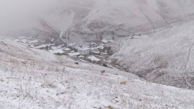 Bayburt'un Yüksek Kesimlerine Kar Yagdi