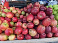 Burhaniye'de Organik Ürünler Çiftçileri Sevindirdi