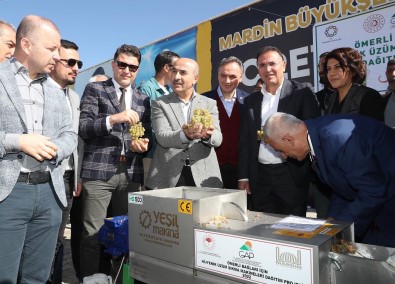 Mardin'de Üreticilere Yüzde 85 Hibe Ile Üzüm Sikma Makinesi Dagitildi