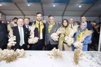 '3. Kastamonu Yöresel Günleri Ve Sehit Serife Baci Torunlari Gençlik Festivali' Basladi