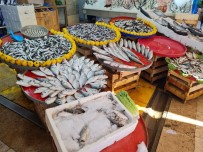 Aydin'da Balik Tezgahlarinin Yildizi Sardalya